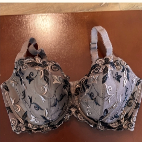 Soma Other - SOMA BRA Embroidered BROWN size 38DDD SO PRETTY like new